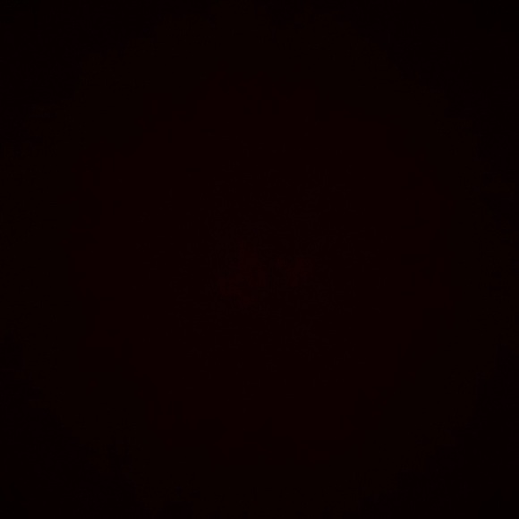 michaelesua43